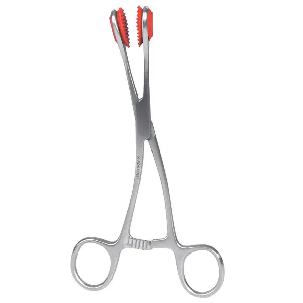 Young Tongue Forceps 